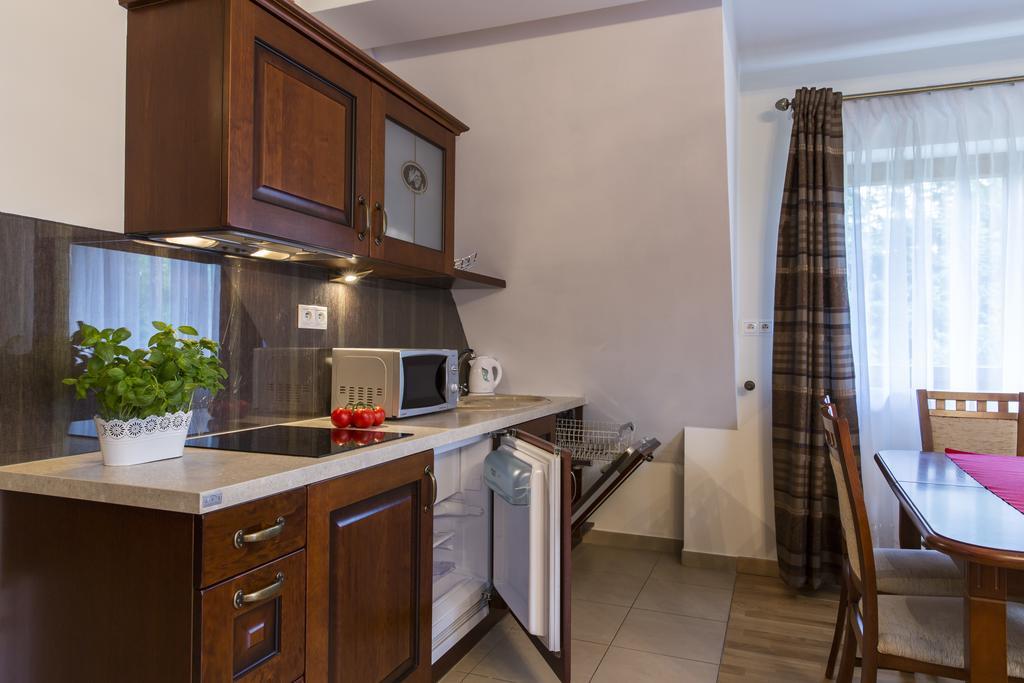 Udanypobyt Apartamenty Snowbird Kościelisko Εξωτερικό φωτογραφία