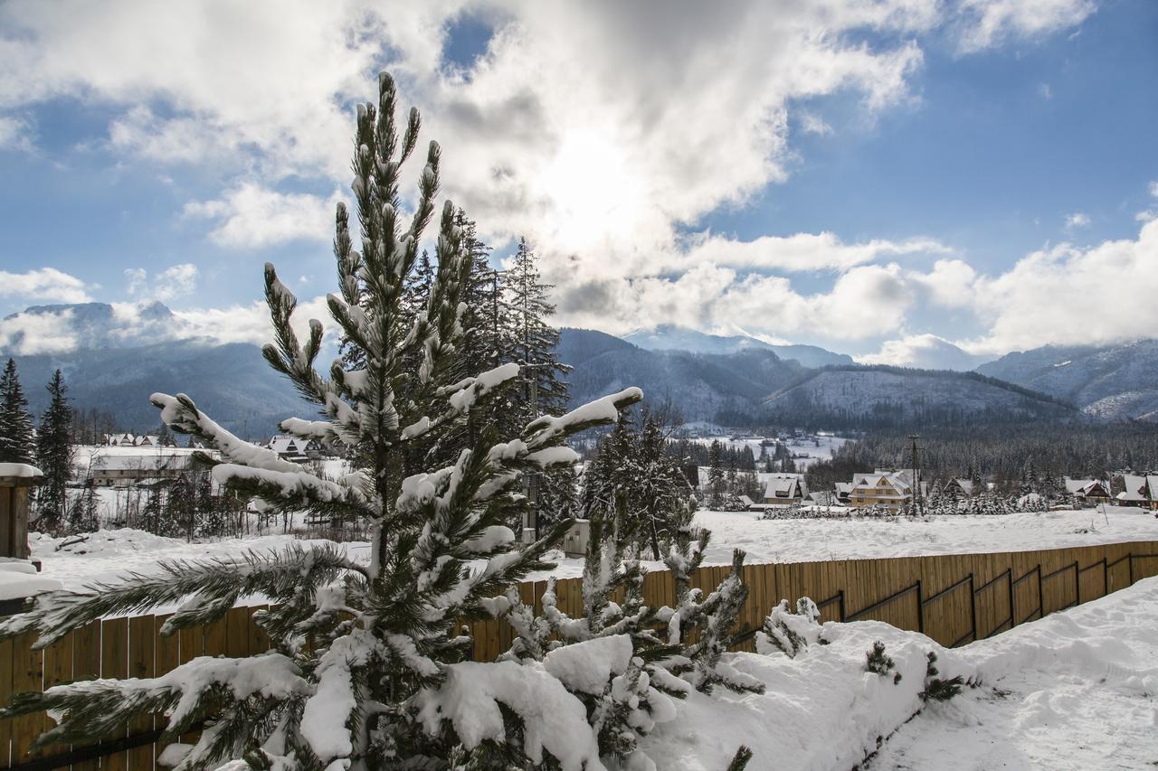 Udanypobyt Apartamenty Snowbird Kościelisko Εξωτερικό φωτογραφία